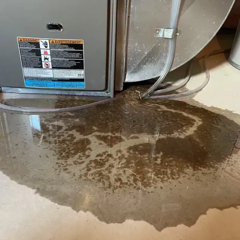 Appliance Leak Cleanup in Kenilworth, IL